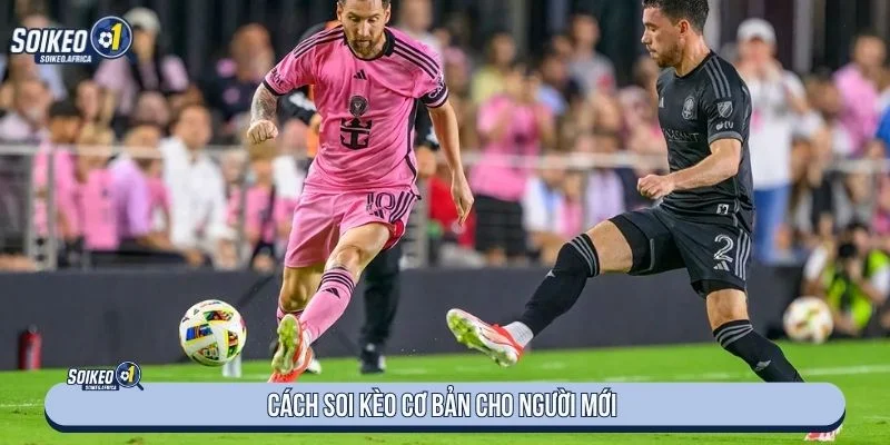 Soi Kèo Bóng Đá Là Gì? Cách Đọc Tỷ Lệ Cho Người Mới Kiểm tra đội hình trước khi phân tích tỷ lệ bóng đá