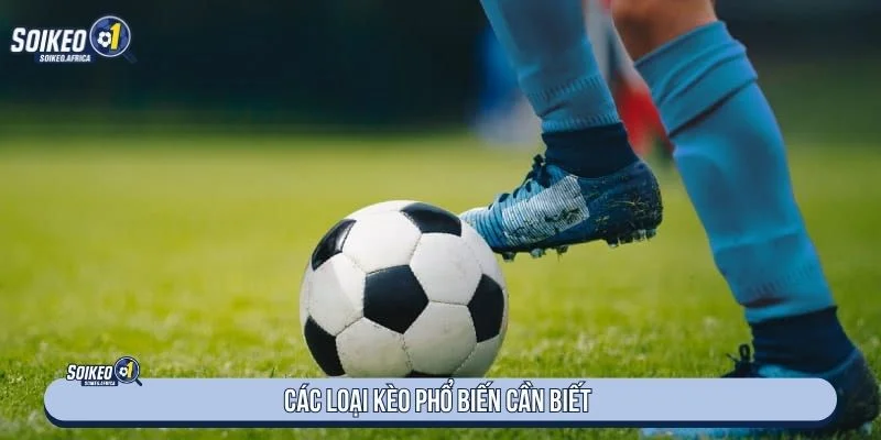 Các loại tỷ lệ bóng đá phổ biến trước trận