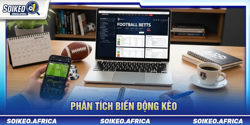 Phân tích biến động tỷ lệ trong nhận định kèo hôm nay