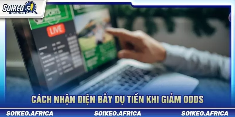 Biến Động Odds Sát Giờ Bóng Lăn: Cách Đọc Đúng Tín Hiệu Phân biệt biến động odds sát giờ bóng lăn và dao động ngắn hạn