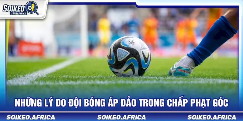 Kèo Chấp Phạt Góc Là Gì? Cách Đọc Handicap Góc Dữ liệu cần theo dõi khi tìm hiểu kèo chấp phạt góc là gì