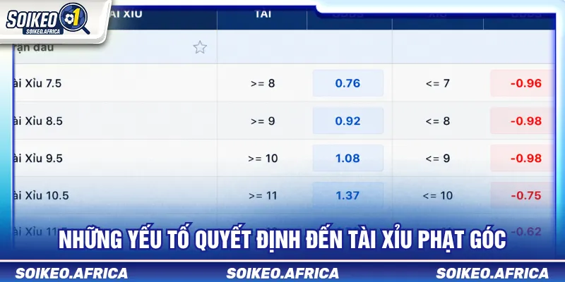 Dữ liệu hai biên khi phân tích tài xỉu phạt góc