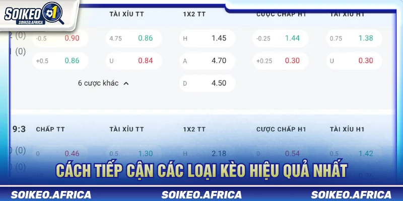 Cách tiếp cận các loại kèo bóng đá phổ biến từ cơ bản
